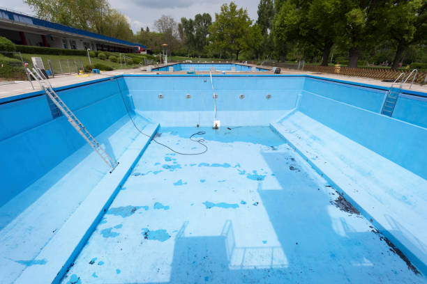 Best Flood damage cleanup  in Naples Manor, FL