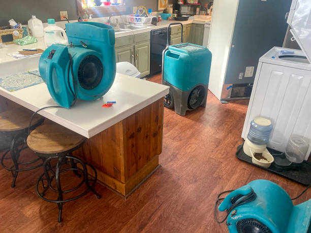 Best Mold removal after water damage  in Naples Manor, FL