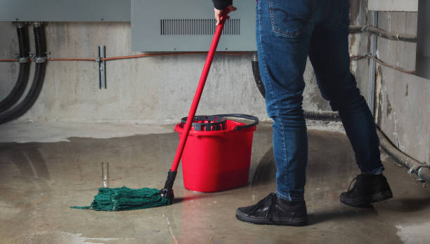 Best Water damage restoration specialists  in Naples Manor, FL