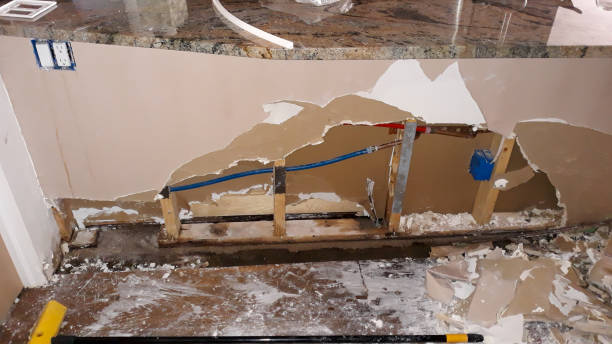 Best Residential water damage restoration  in Naples Manor, FL