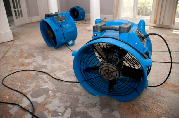Best Sewage cleanup and water damage restoration  in Naples Manor, FL